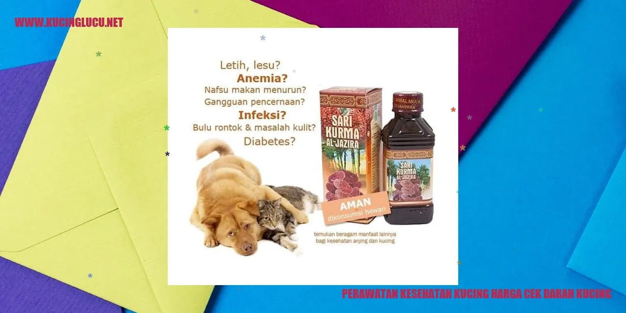 perawatan kesehatan kucing