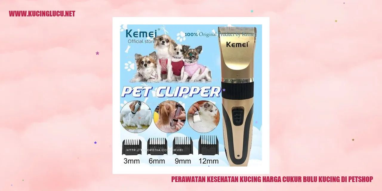 Gambar Kucing di Petshop