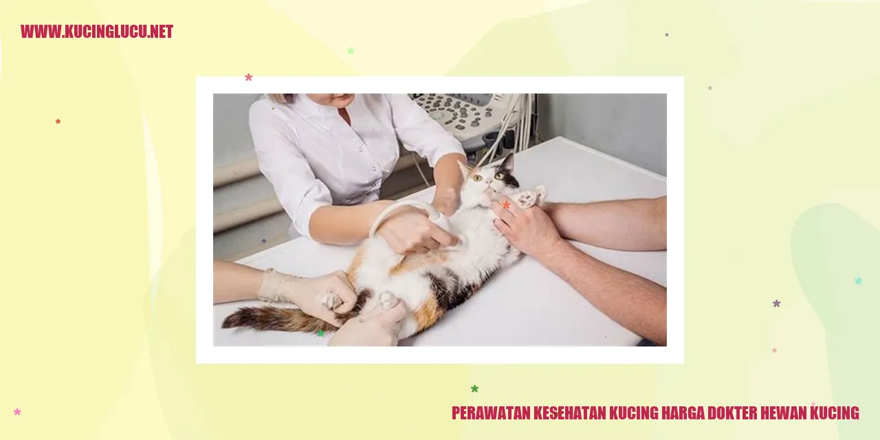 Gambar Kucing