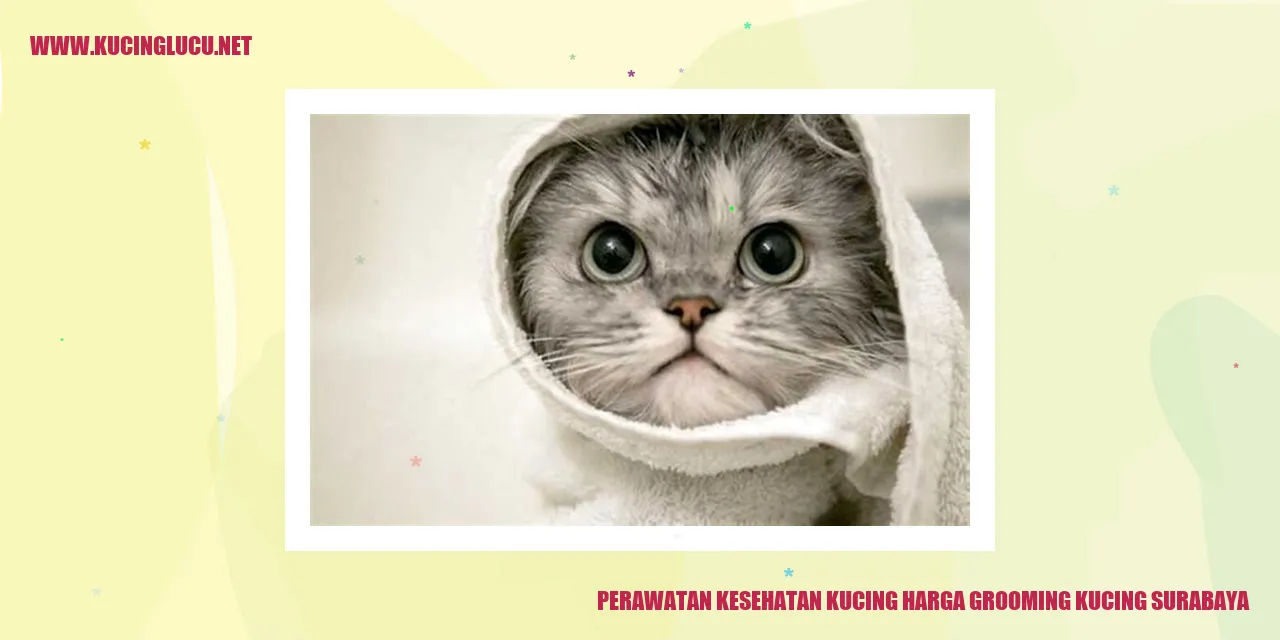 Perawatan Kesehatan Kucing, Surabaya