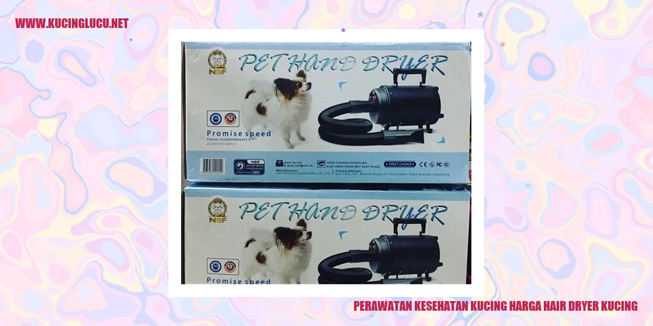 Perawatan Kesehatan Kucing