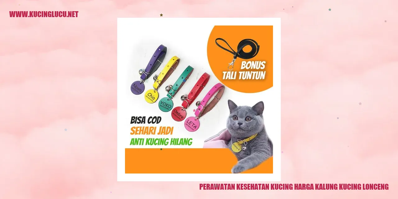 Gambar kucing dengan kalung lonceng