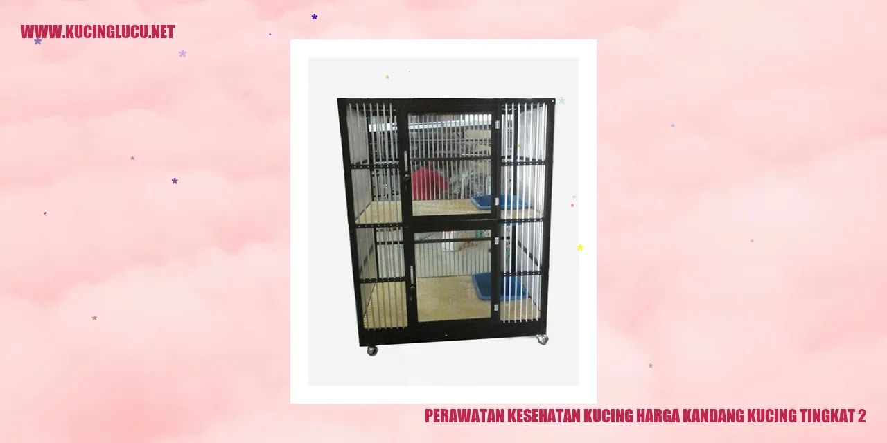 Perawatan Kesehatan Kucing