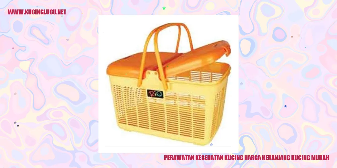 Perawatan Kesehatan Kucing