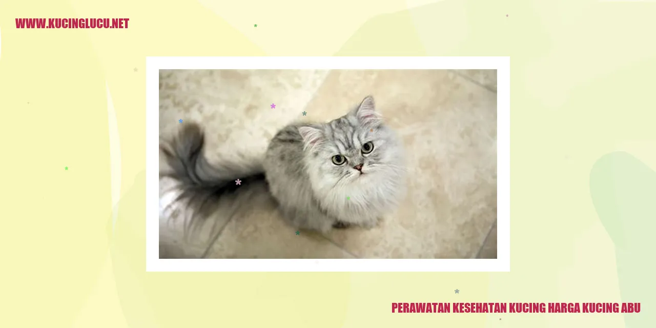 Perawatan Kesehatan Kucing Harga Kucing Abu