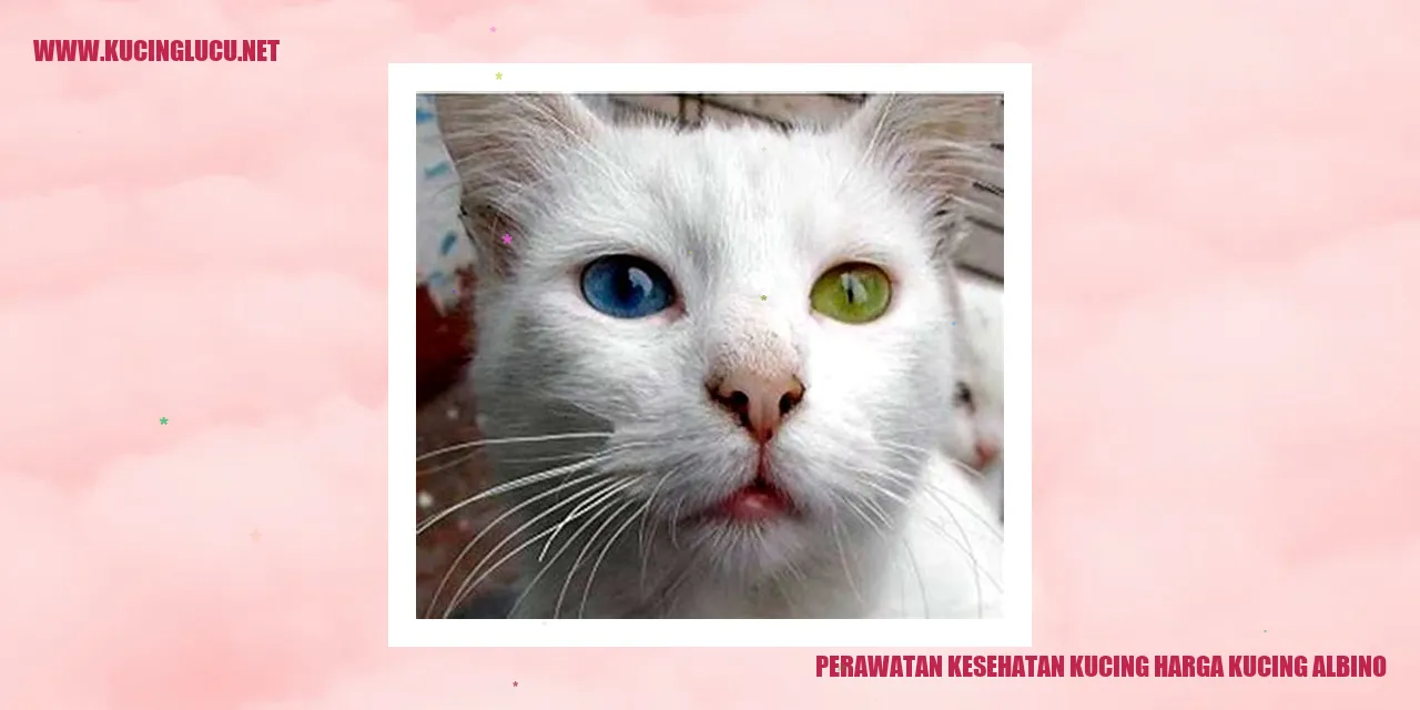 Perawatan Kesehatan Kucing Albino