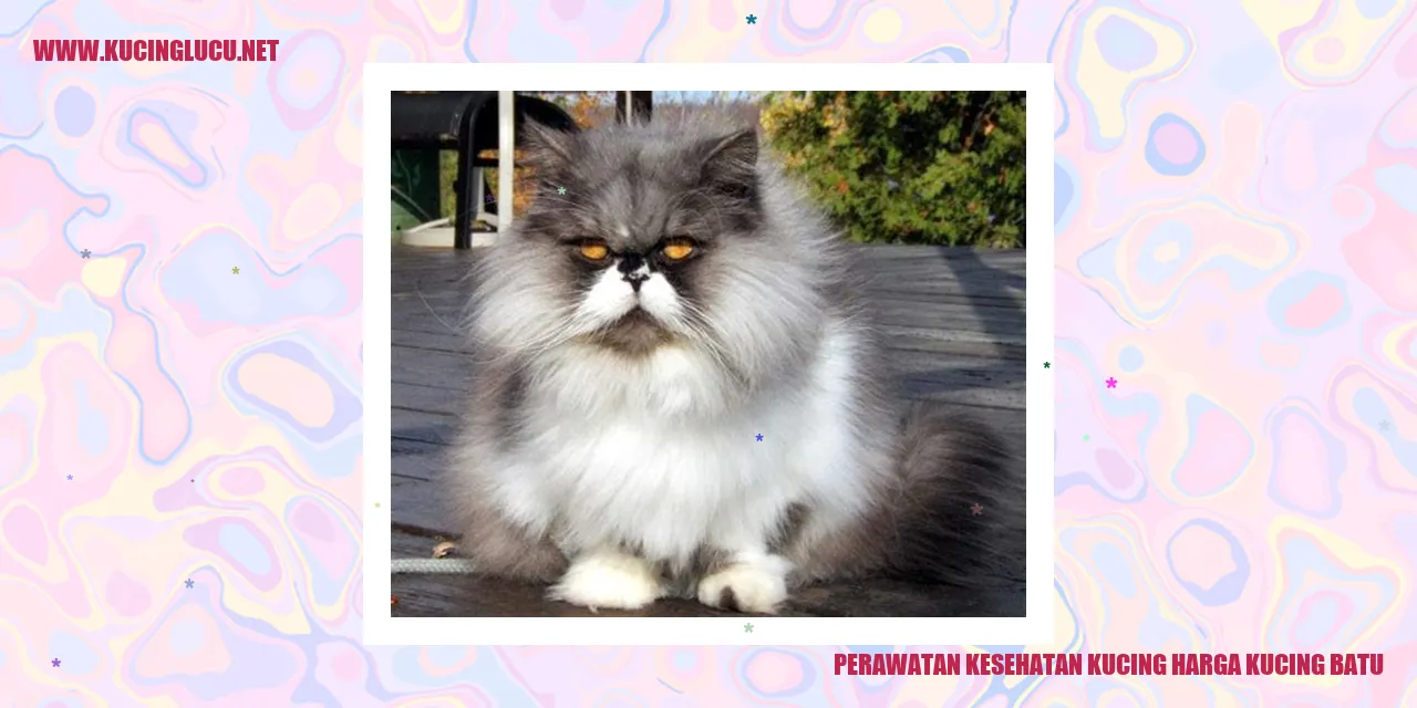 Perawatan Kesehatan Kucing