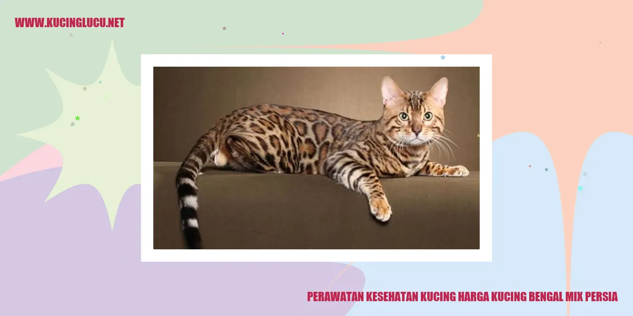 Perawatan Kucing Bengkel Mix Persia