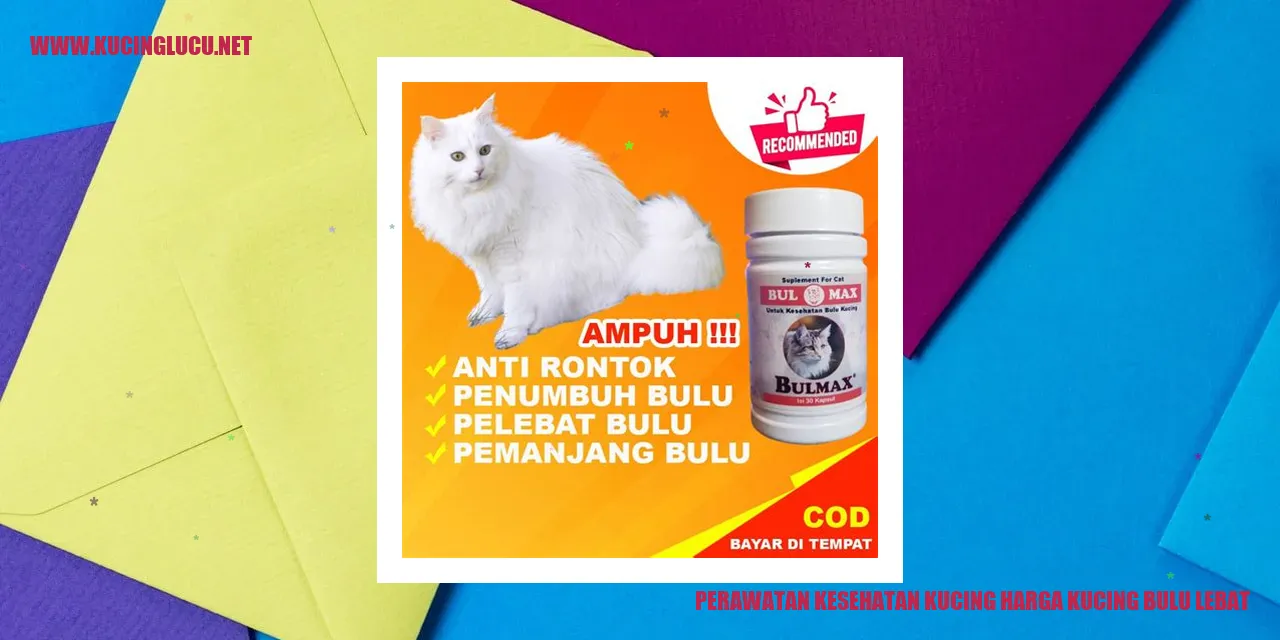 Gaya Kucing dengan Bulu Lebat