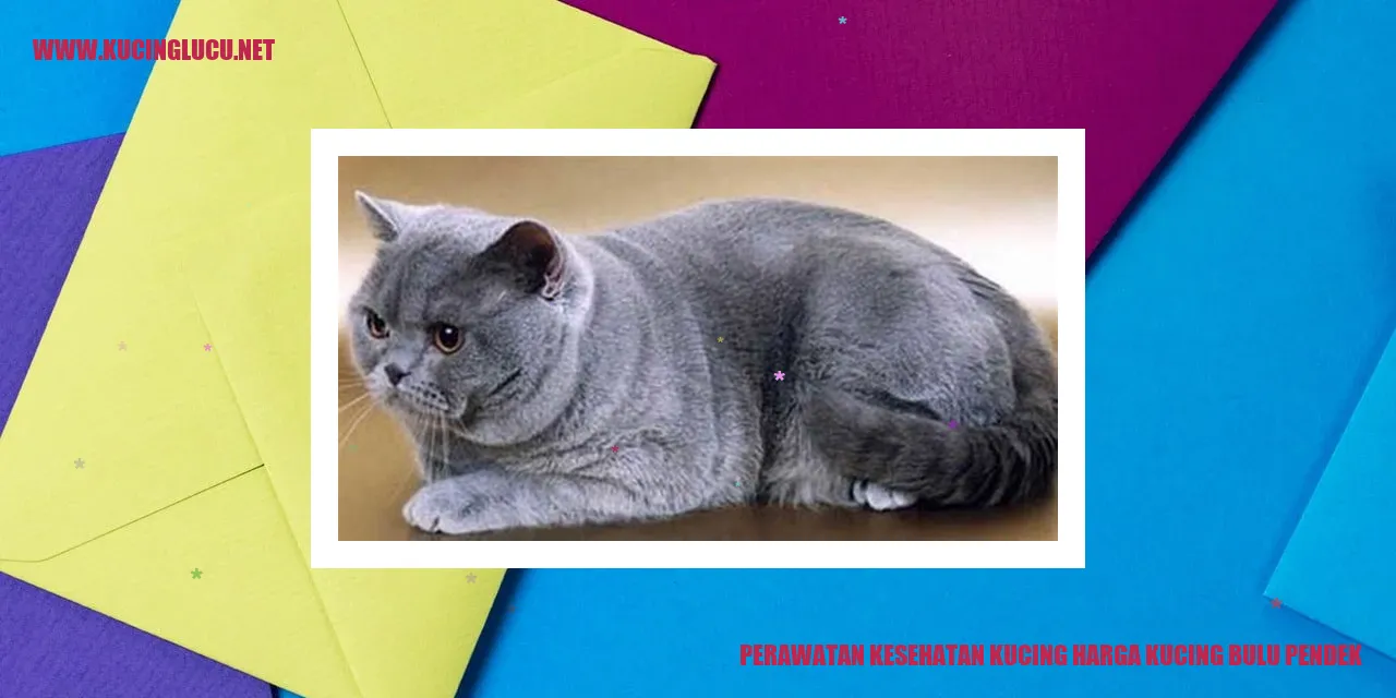 Perawatan Kesehatan Kucing Bulu Pendek