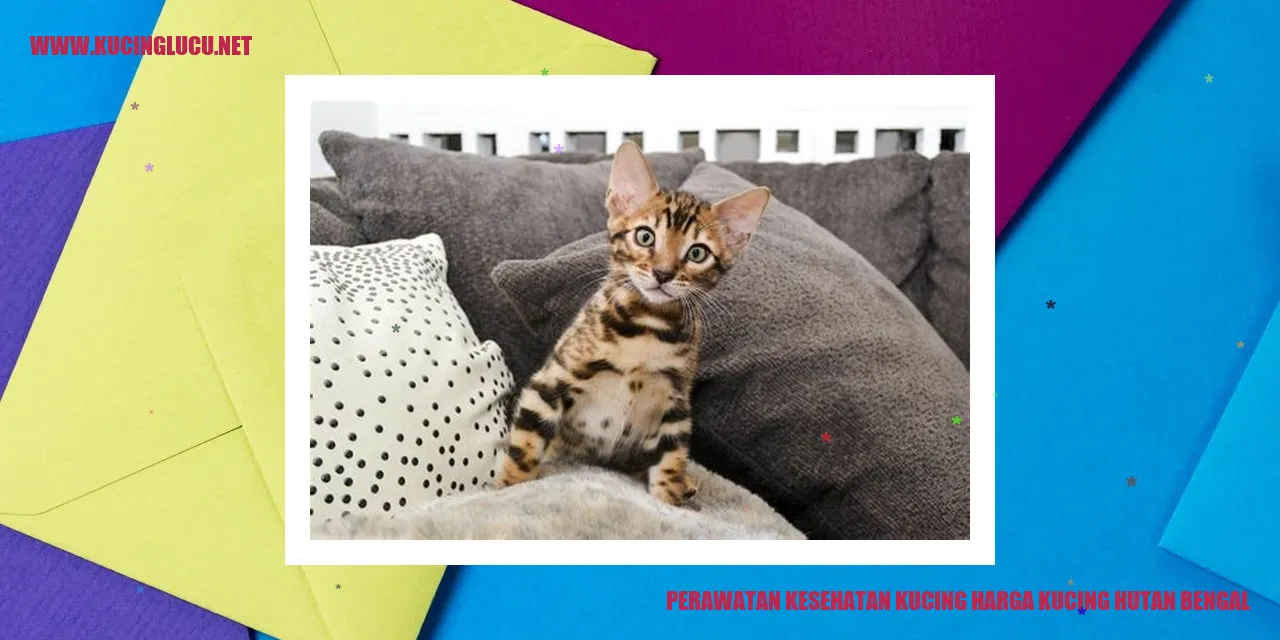 Perawatan Kesehatan Kucing Harga Kucing Hutan Bengal