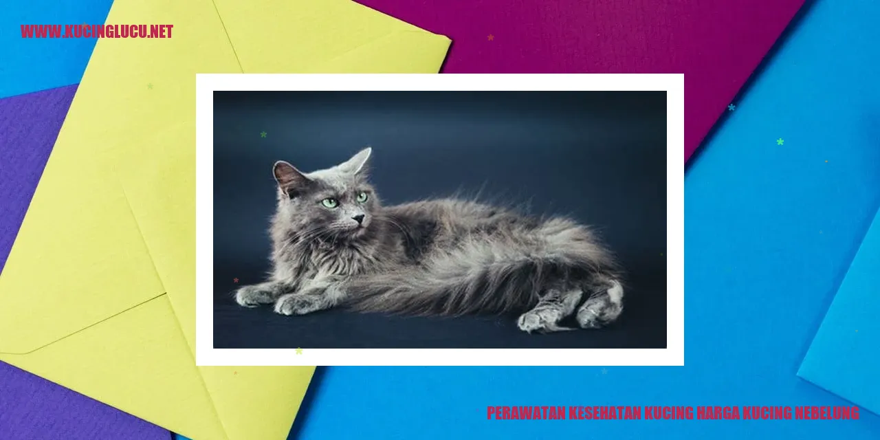 Kucing Nebelung