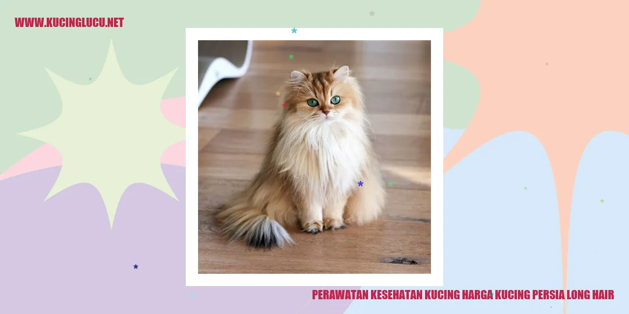 Perawatan Kesehatan Kucing Harga Kucing Persia Long Hair
