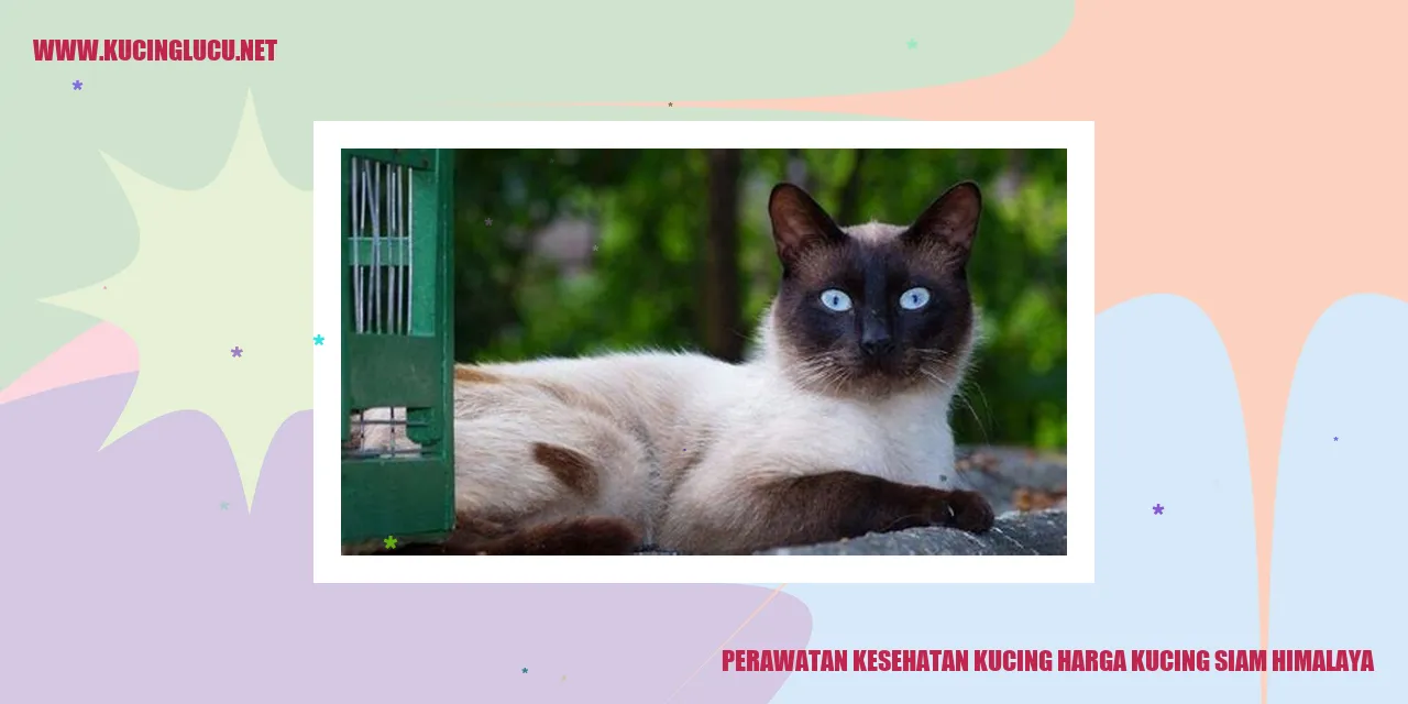 Perawatan Kesehatan Kucing