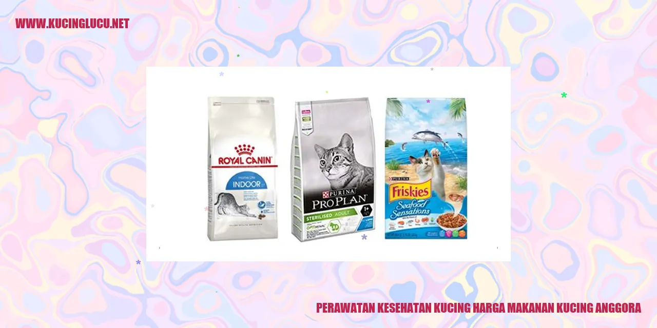 Perawatan Kesehatan Kucing harga makanan kucing anggora