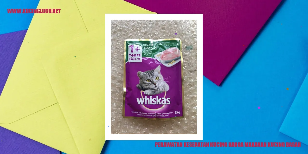Perawatan Kesehatan Kucing