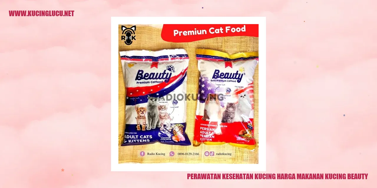 Perawatan Kesehatan Kucing
