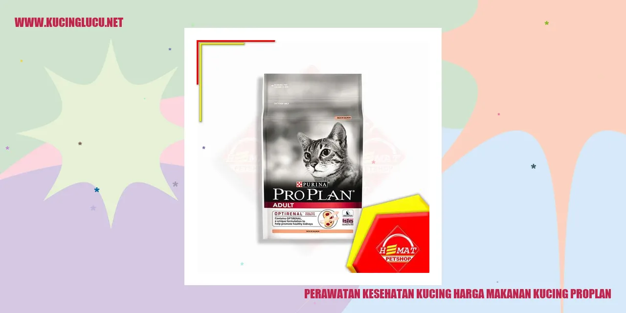 Gambar kucing sehat