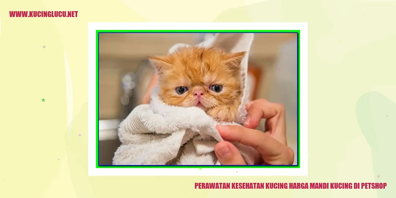 Perawatan Kesehatan Kucing