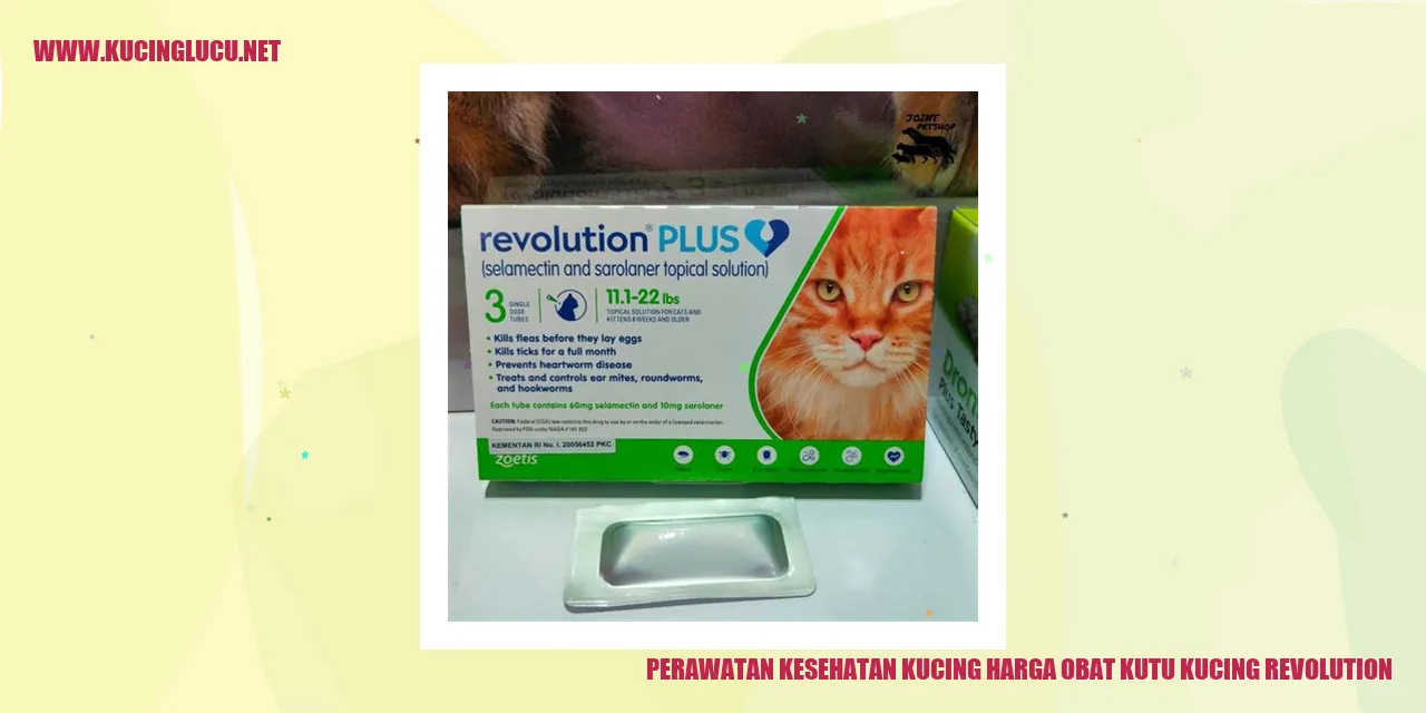 Perawatan Kesehatan Kucing