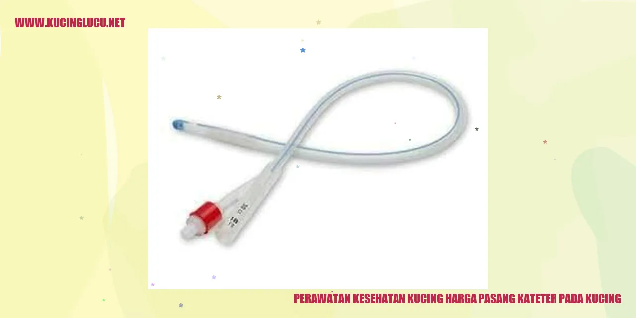 Perawatan Kesehatan Kucing
