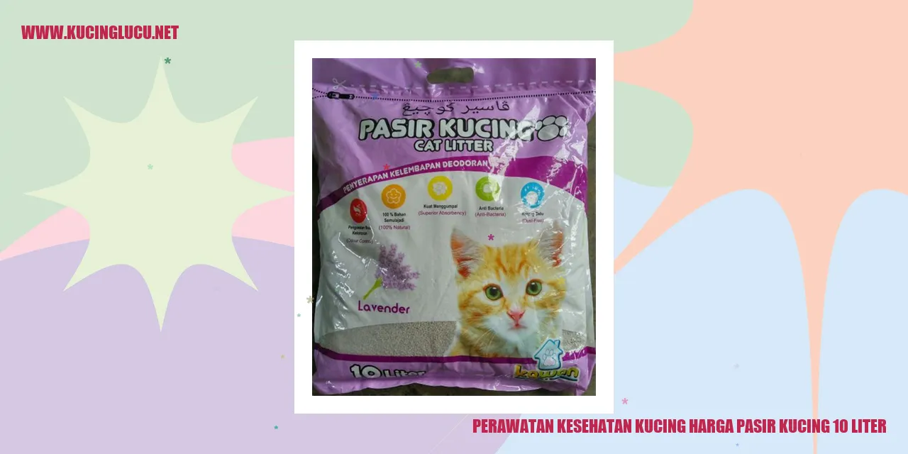 Perawatan Kesehatan Kucing