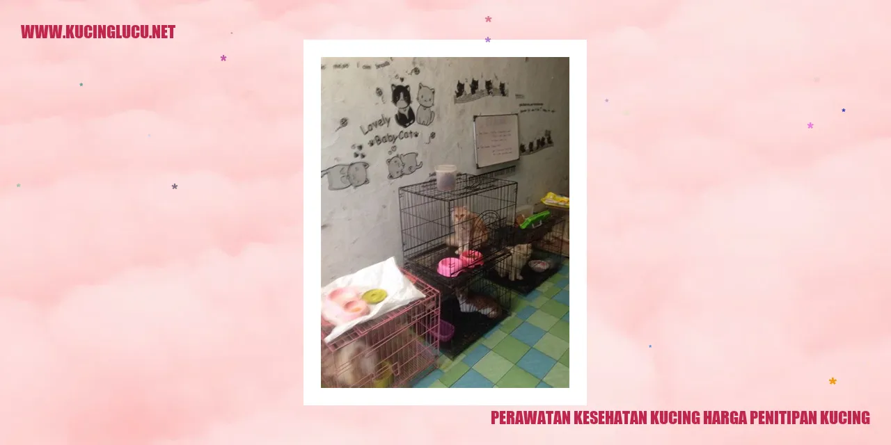 Perawatan Kesehatan Kucing dan Biaya Penjagaan Kucing