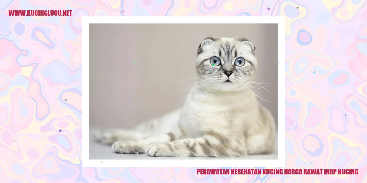 Perawatan Kesehatan Kucing