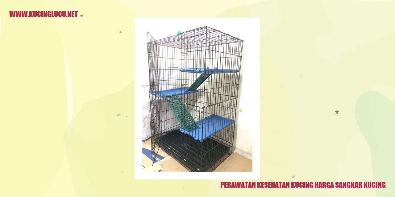 Perawatan Kesehatan Kucing