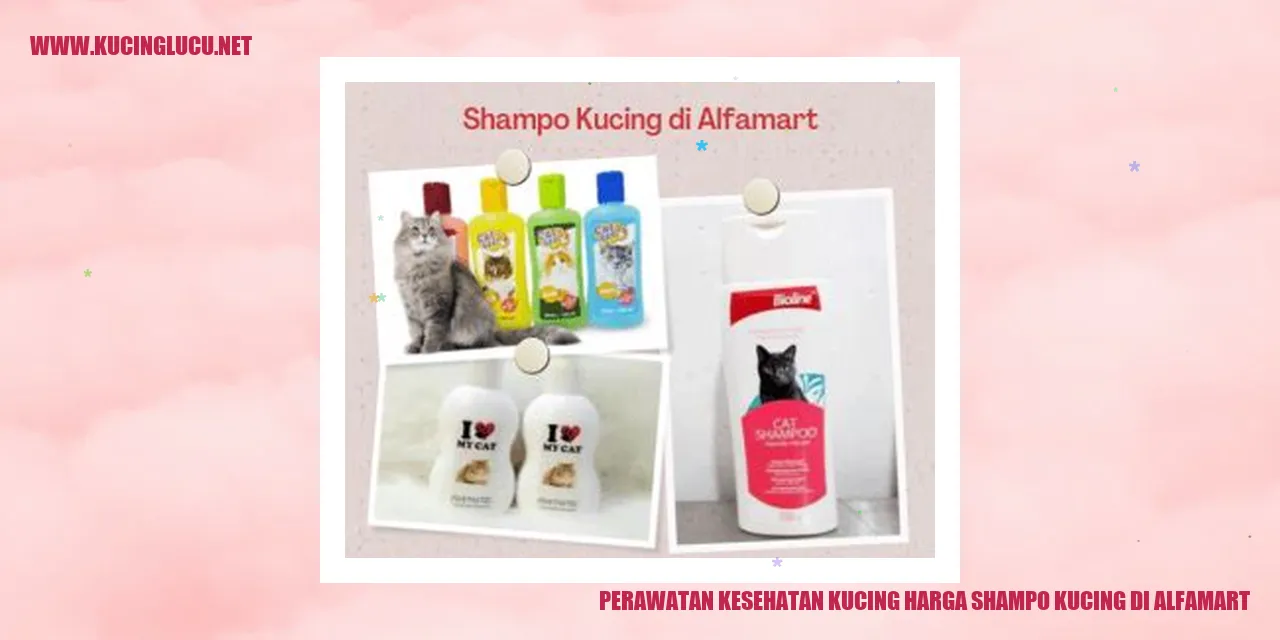 Kucing yang bersih dan sehat