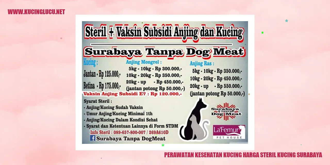Perawatan Kesehatan Kucing
