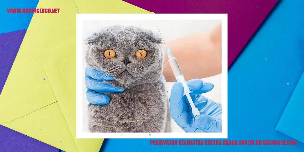 Perawatan Kesehatan Kucing