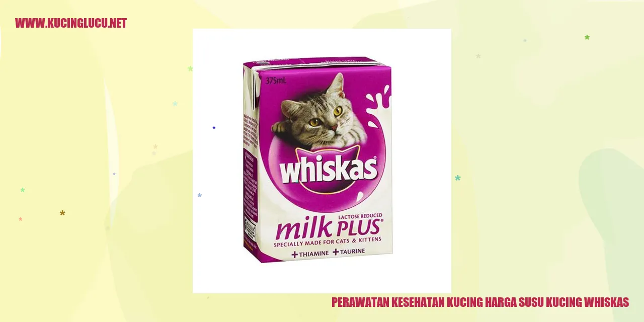 Perawatan Kesehatan Kucing