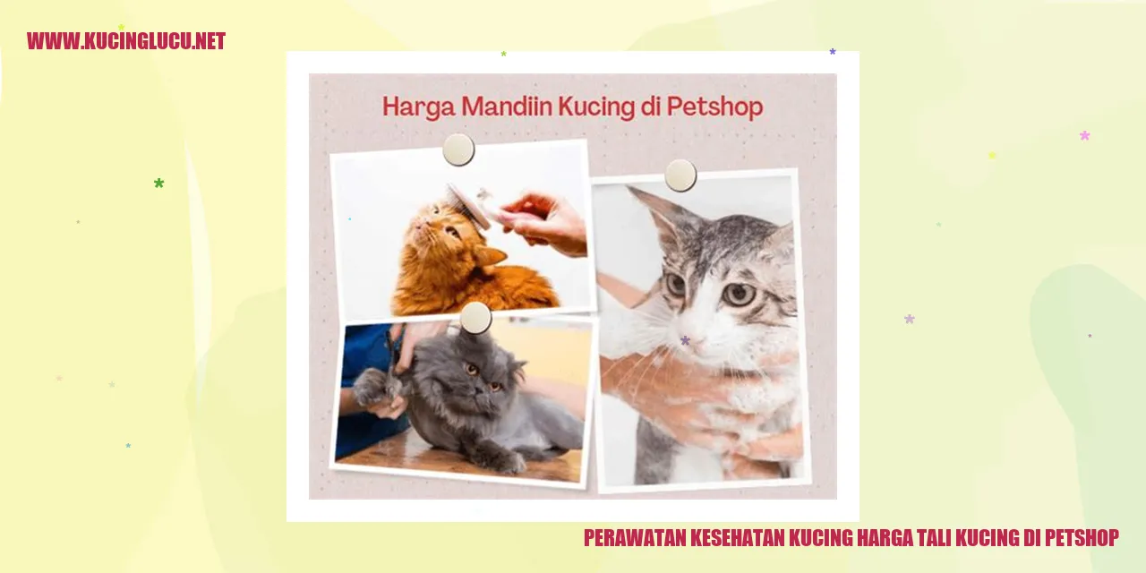 Perawatan Kesehatan Kucing