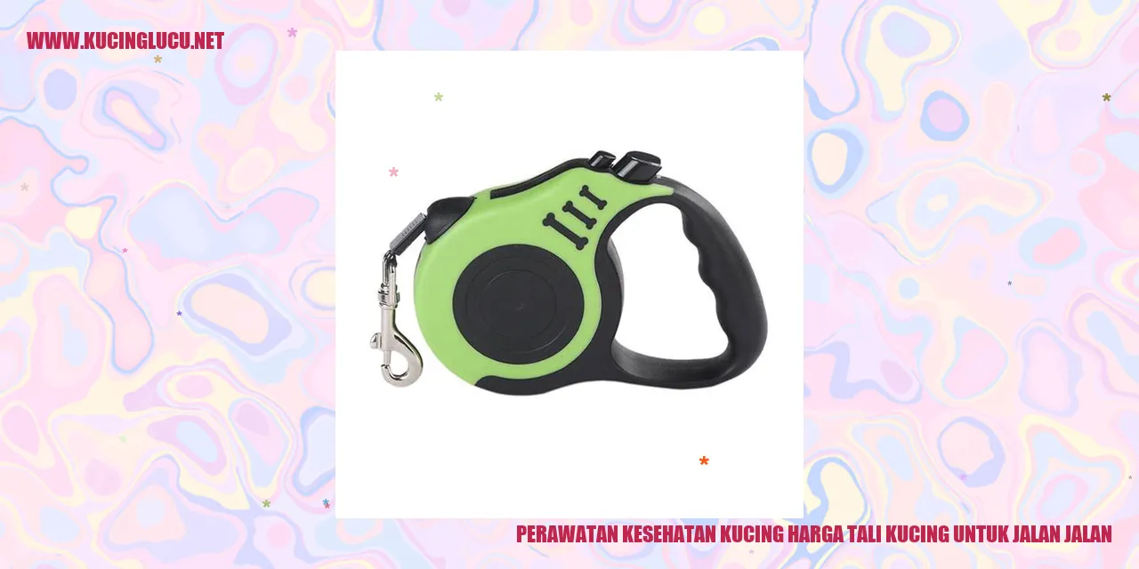 Kucing jalan-jalan