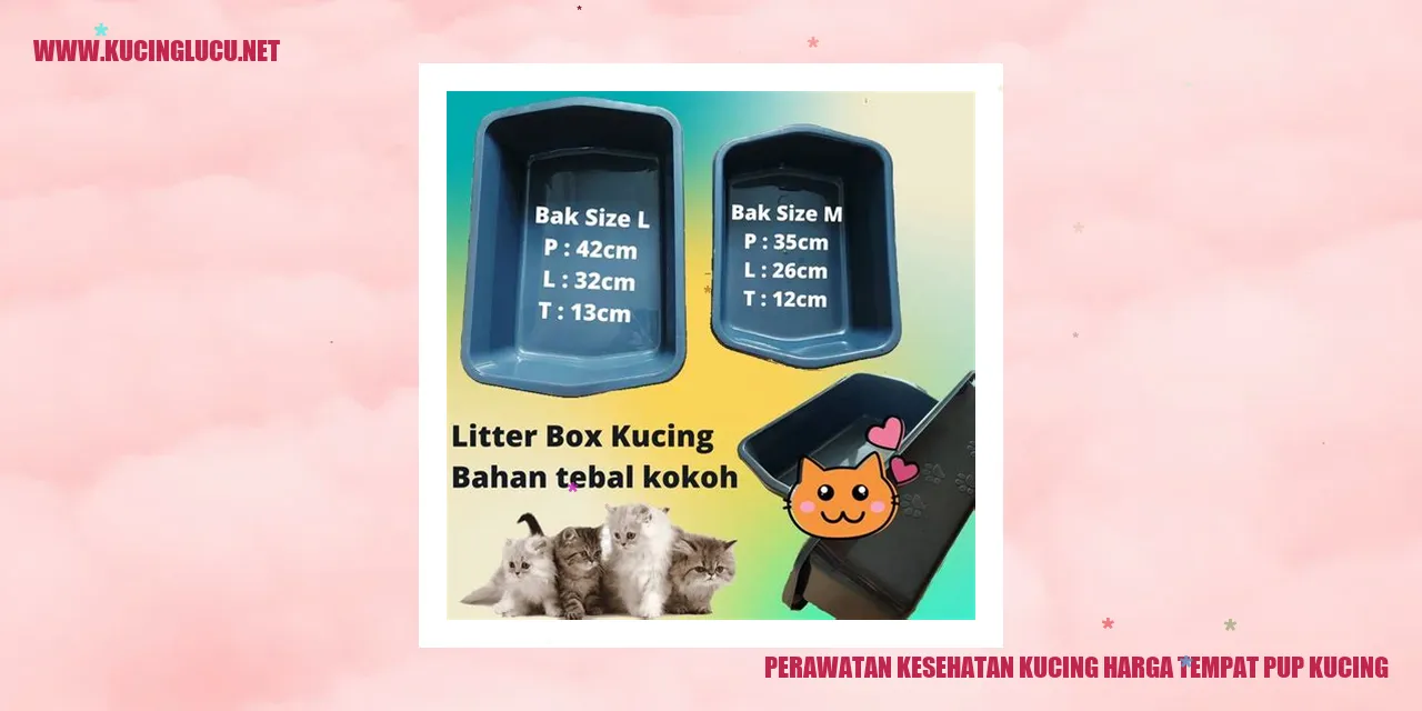 Gambar Kucing Menggunakan Tempat Pup