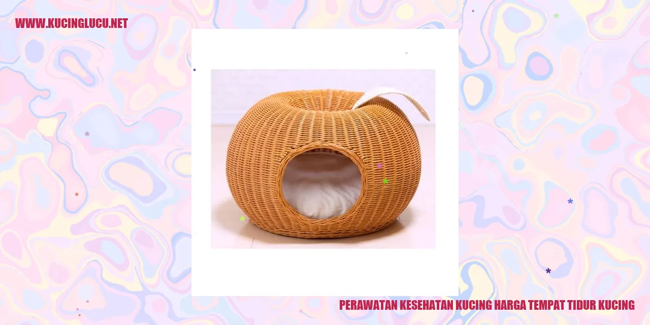 Tempat Tidur Kucing