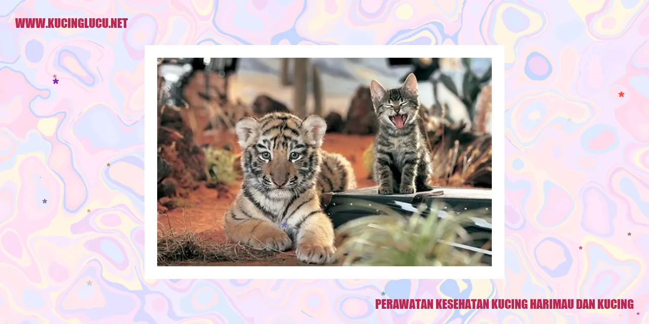 Kucing Harimau dan Kucing
