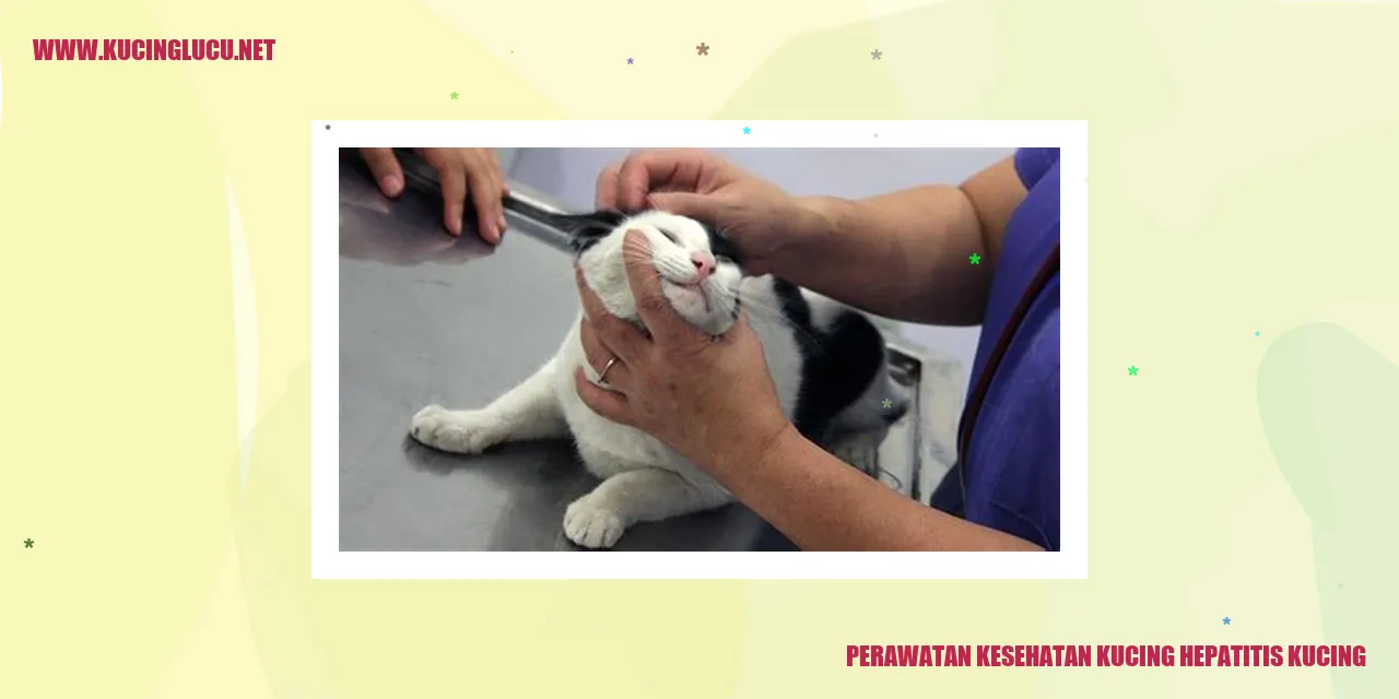 Perawatan Kesehatan Kucing Hepatitis Kucing