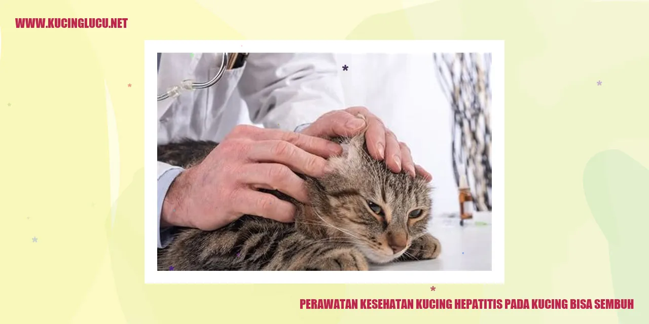 Perawatan Kesehatan Kucing Hepatitis