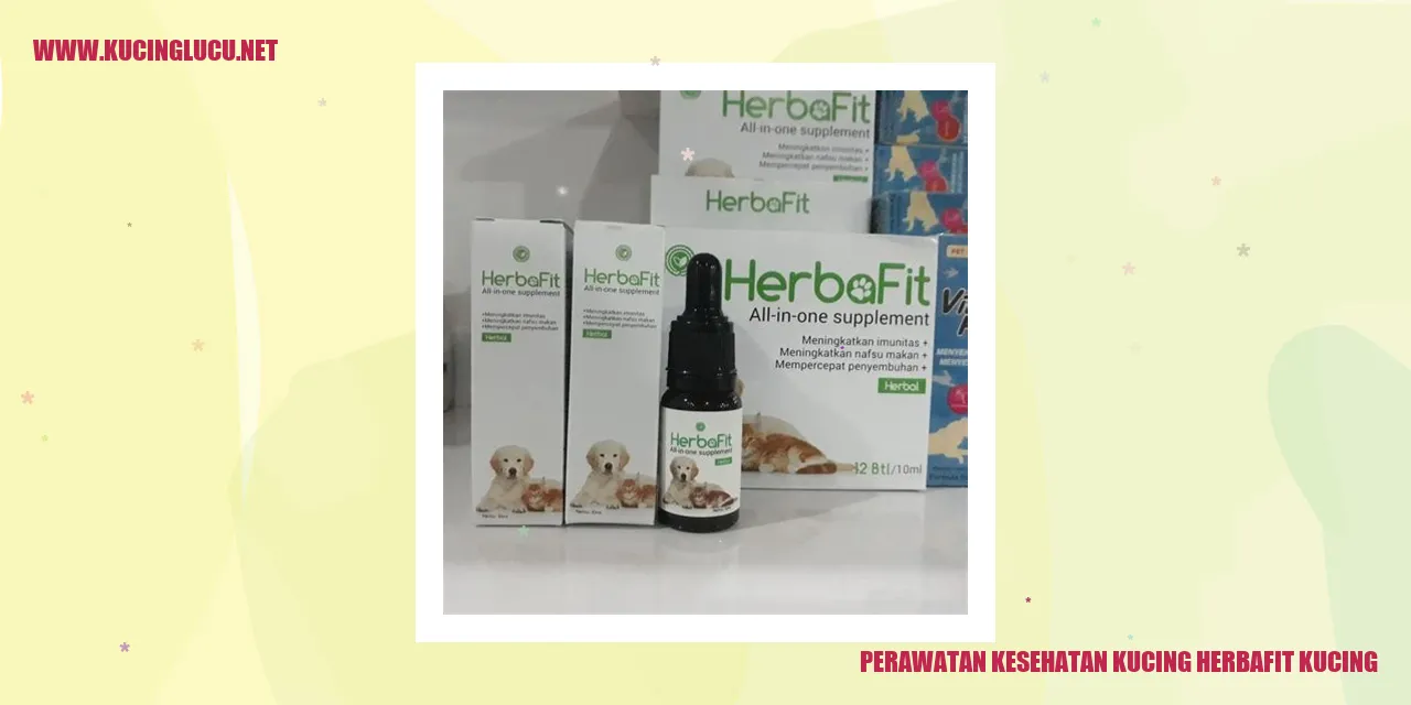 Perawatan Kesehatan Kucing dengan Herbafit Kucing