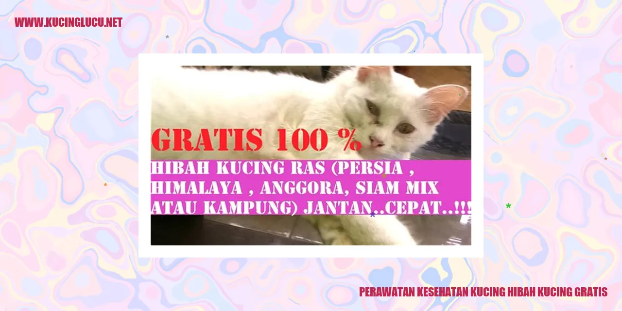 Perawatan Kesehatan Kucing Hibah Kucing Gratis