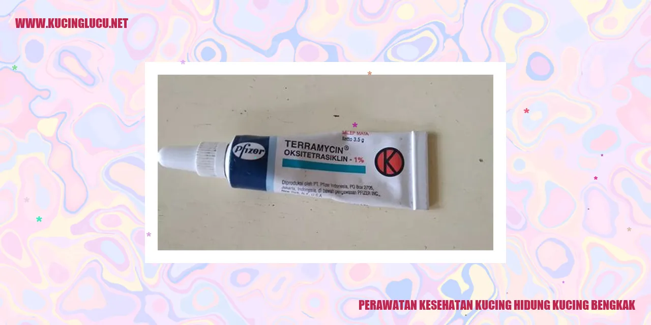 Gambar kucing dengan hidung bengkak