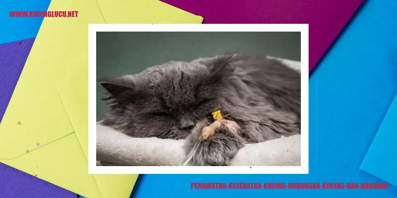 Perawatan Kesehatan Kucing dan Harimau