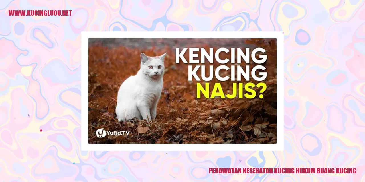 Perawatan Kesehatan Kucing hukum buang kucing