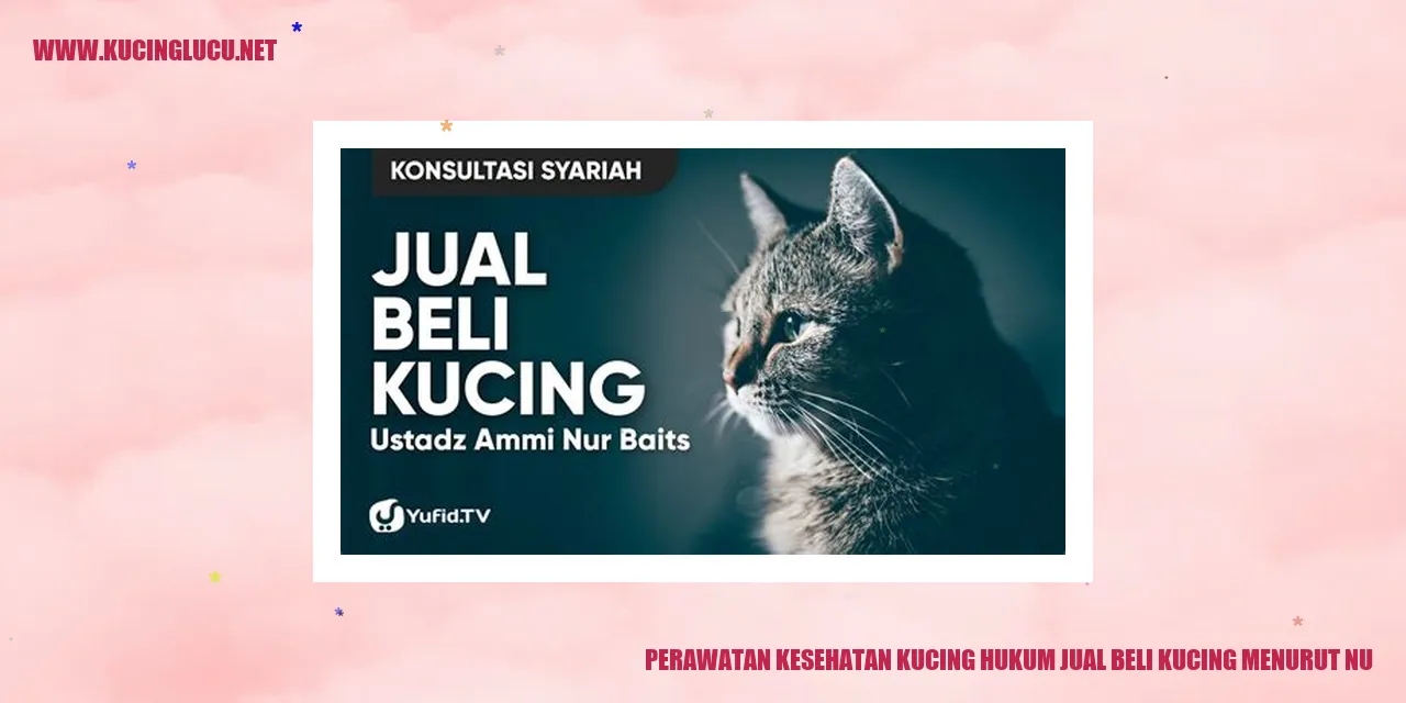 Perawatan Kesehatan Kucing