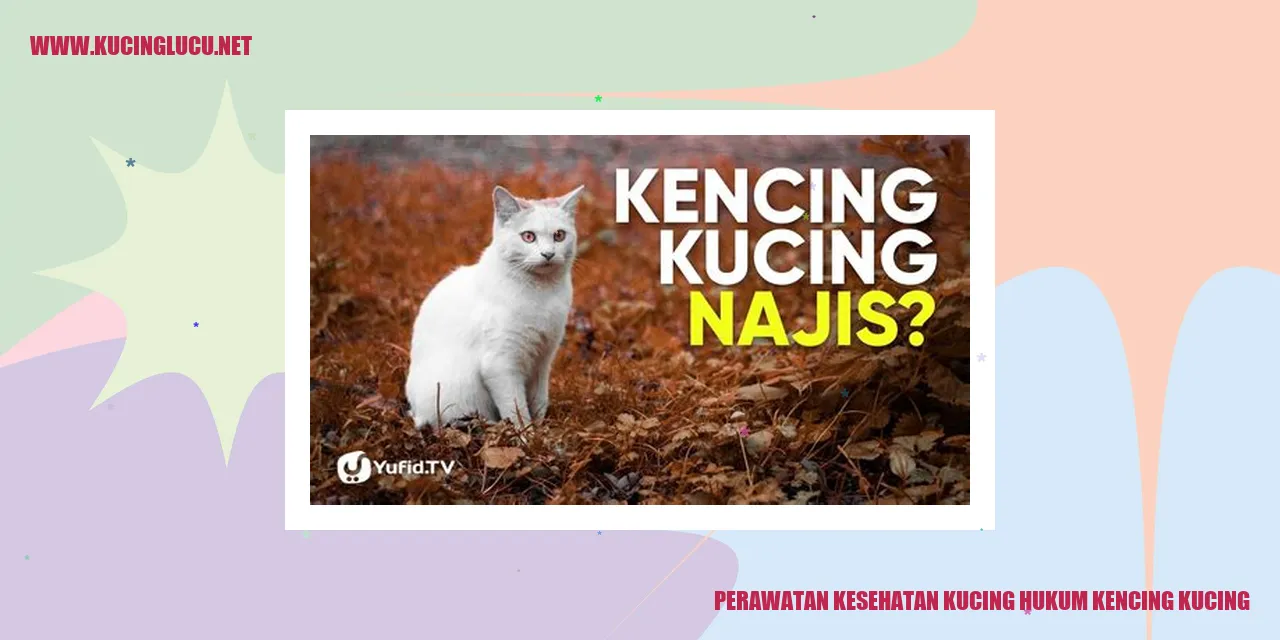 Kucing