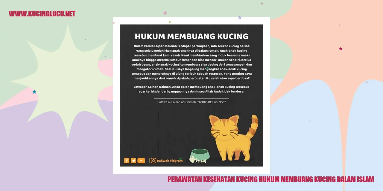 Gambar Kucing Lucu