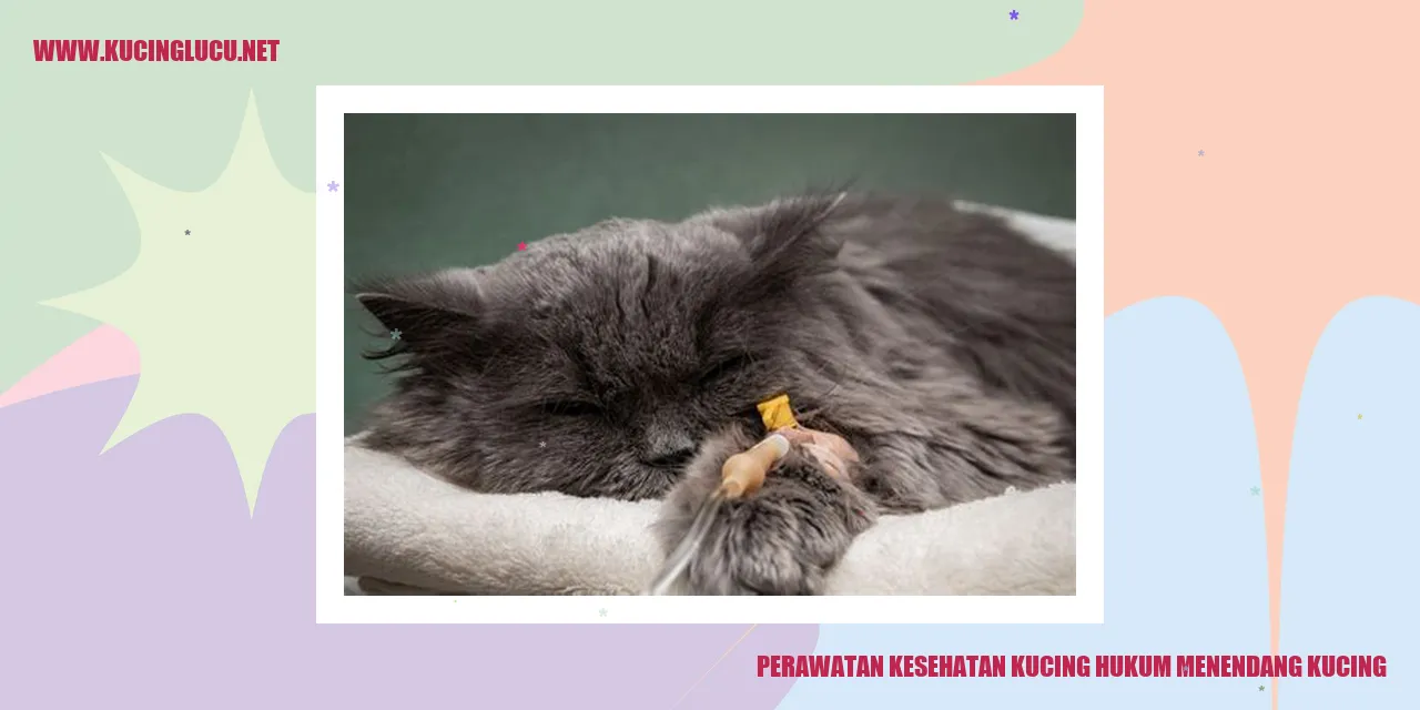 Perawatan kucing yang sehat