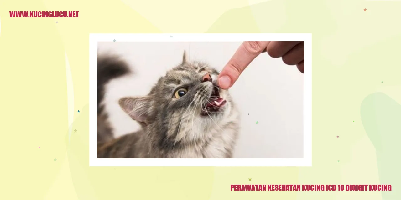 Perawatan Kesehatan Kucing